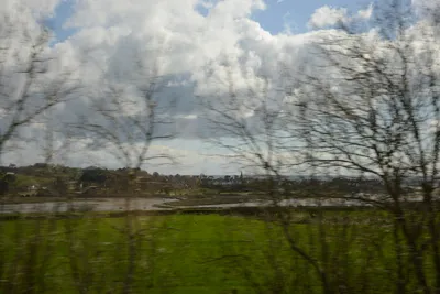 DSC_7211 (Large).JPG